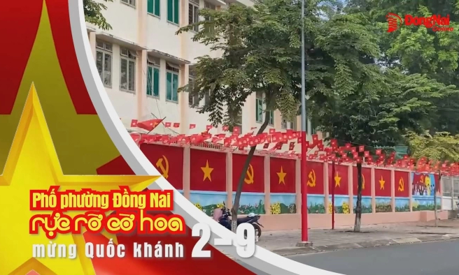Phố phường Đồng Nai rực rỡ cờ hoa mừng Quốc khánh 2-9