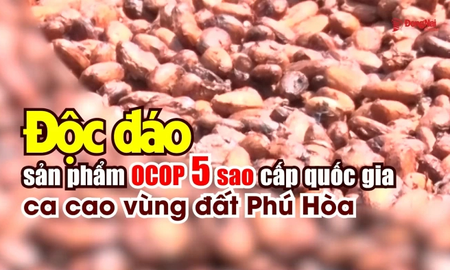 Độc đáo sản phẩm OCOP 5 sao cấp quốc gia - ca cao vùng đất Phú Hòa