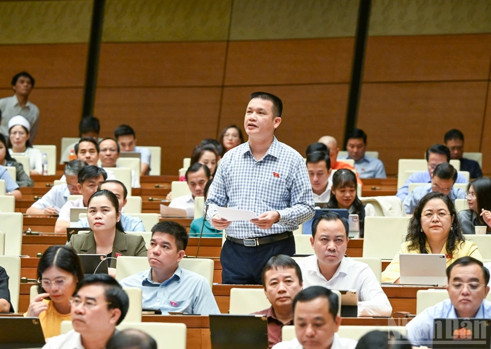 Đại biểu Hoàng Ngọc Định (Đoàn Tuyên Quang)